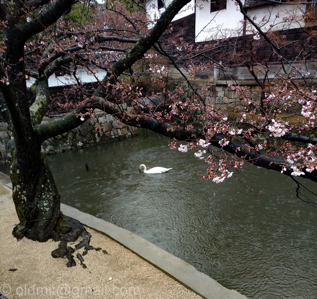 Немного слов и фото. Япония, 30 марта - 17 апреля. Киото и окрестности, Нагоя, Хида Фурукава, Матсумото.